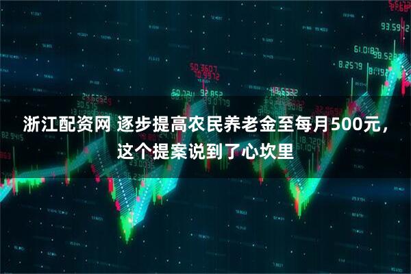 浙江配资网 逐步提高农民养老金至每月500元，这个提案说到了心坎里