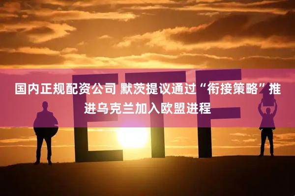 国内正规配资公司 默茨提议通过“衔接策略”推进乌克兰加入欧盟进程